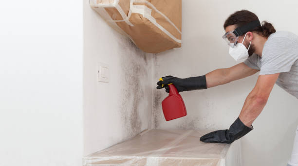 Professional Mold Remediation technician working in Schwenksville, PA