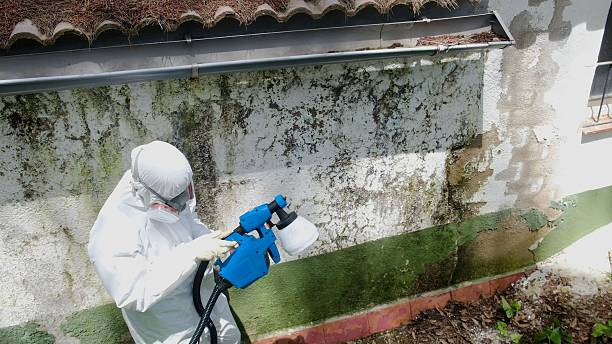 Top rated local Mold Remediation specialists in Schwenksville, PA